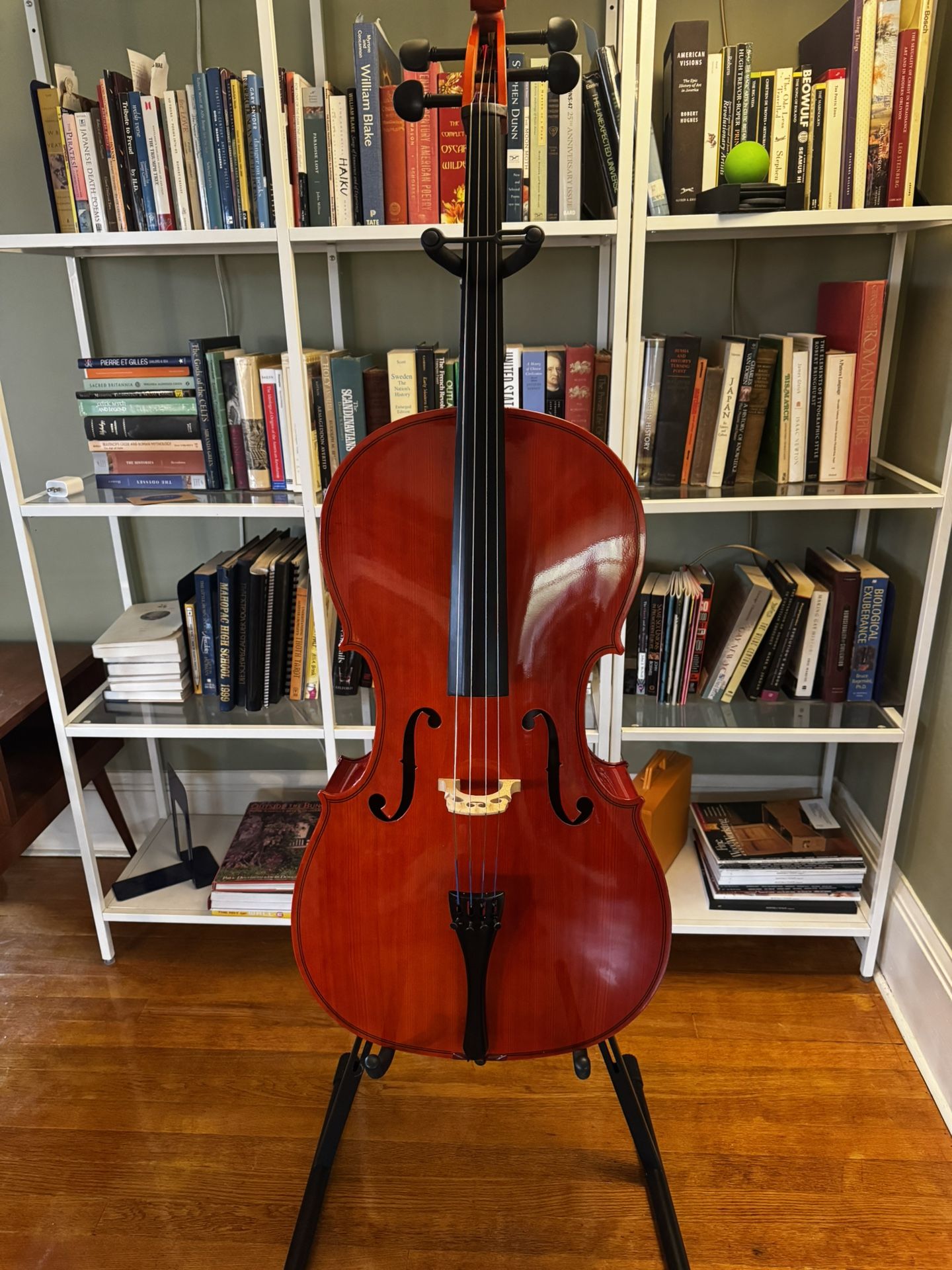 Beginner’s Cello