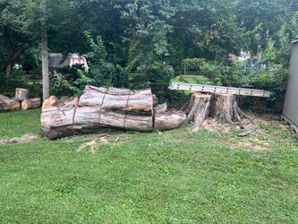 Free Firewood