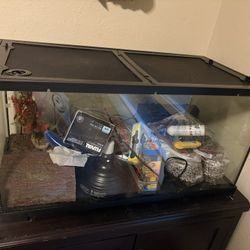 40 Gallon Tank With Accessories!!!🐢🐢🐢