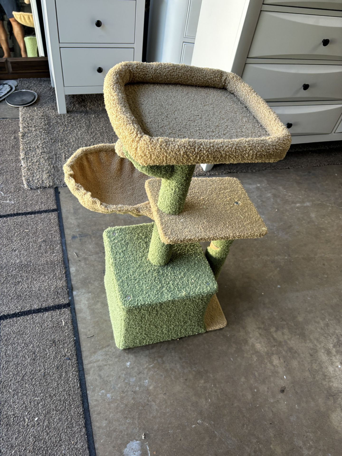 pet gym