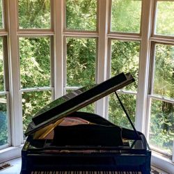 Young Chang 5'2 Baby Grand Piano - A True Gem In Excellent Condition Going For Free 