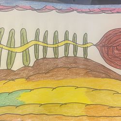 Desert Colored Pencil Drawing New 