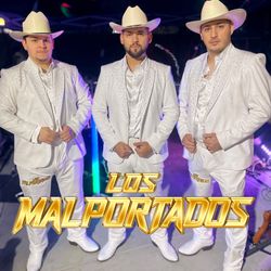 Grupo Norteño Los Mal Portados