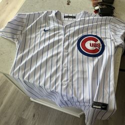 Non Authentic Cubs Jersey