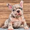 Test max