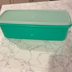 Vintage Tupperware Celery/Vegetable Keeper 