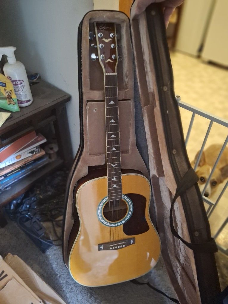 ESTEBAN American Legacy Electric Acoustic Guitar With Case