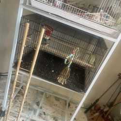 Black Cage