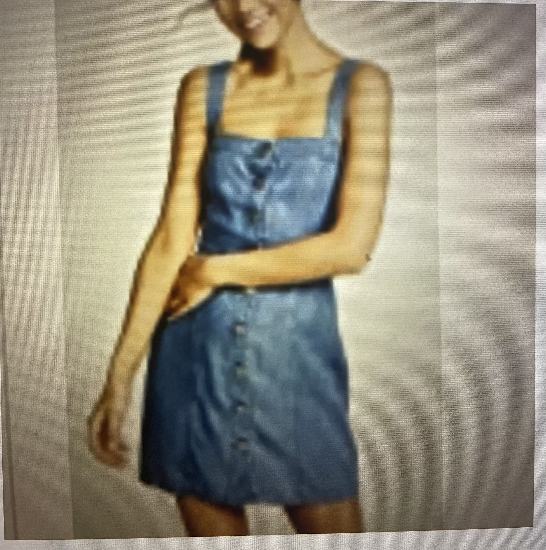 Bb Dakota Dress