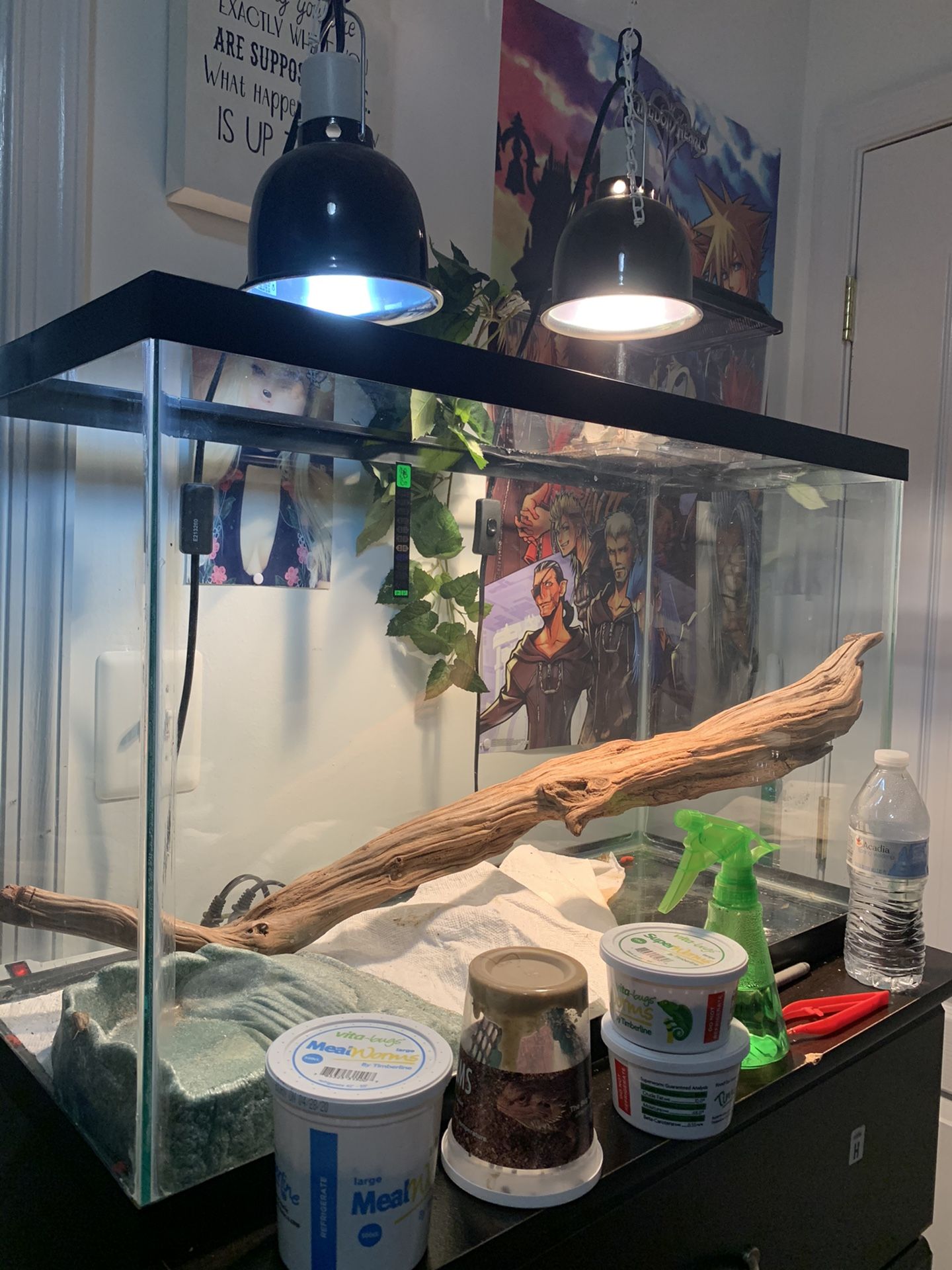 30 gallon reptile tank terrarium