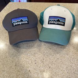 Patagonia P-6 Logo LoPro Trucker Hat in Gray and Teal