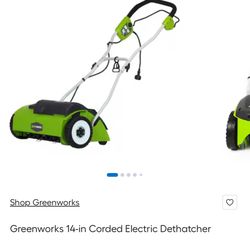 Greenworks 14-in Dethatcher