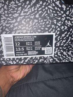 2024 Air Jordan Spizike Low