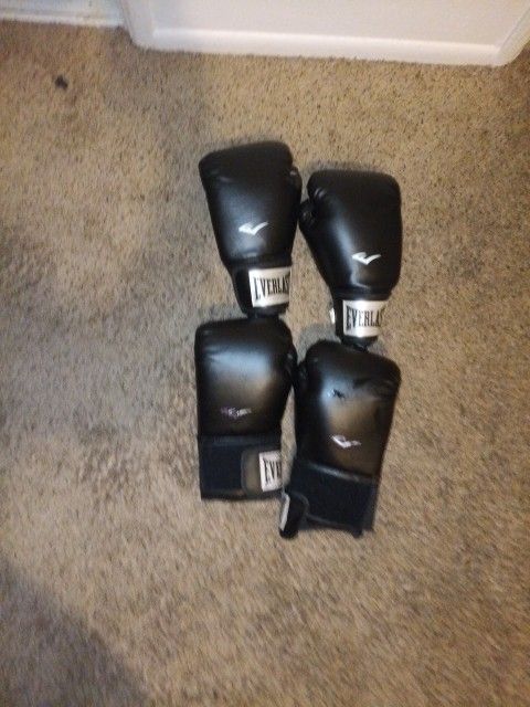 Everlast Boxing Gloves