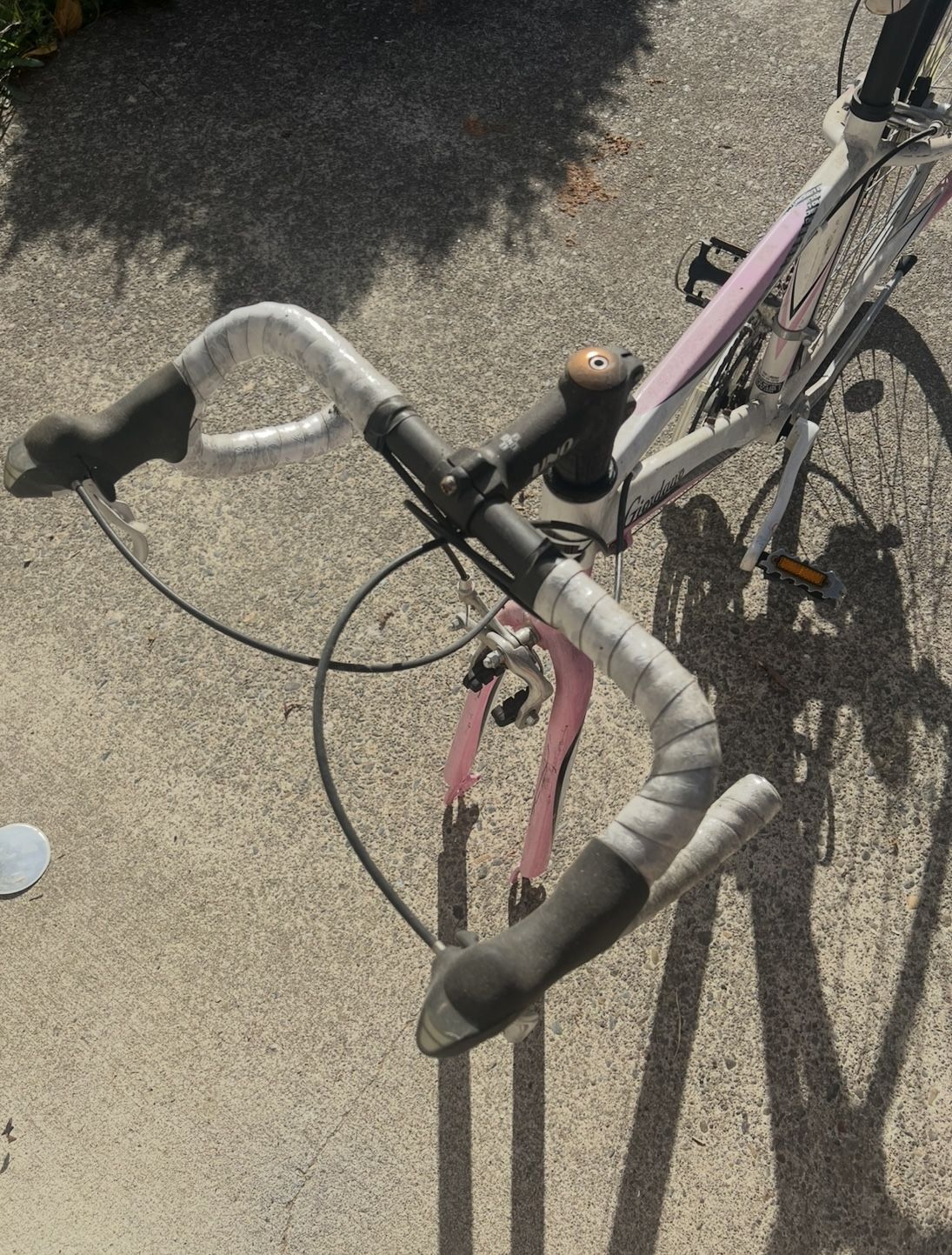 Woman’s Road Bike