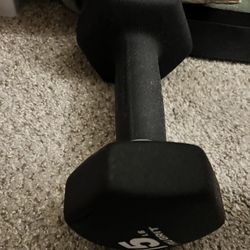 Dumbell 15 Lb Single