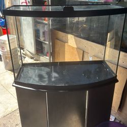 Fish Tank 