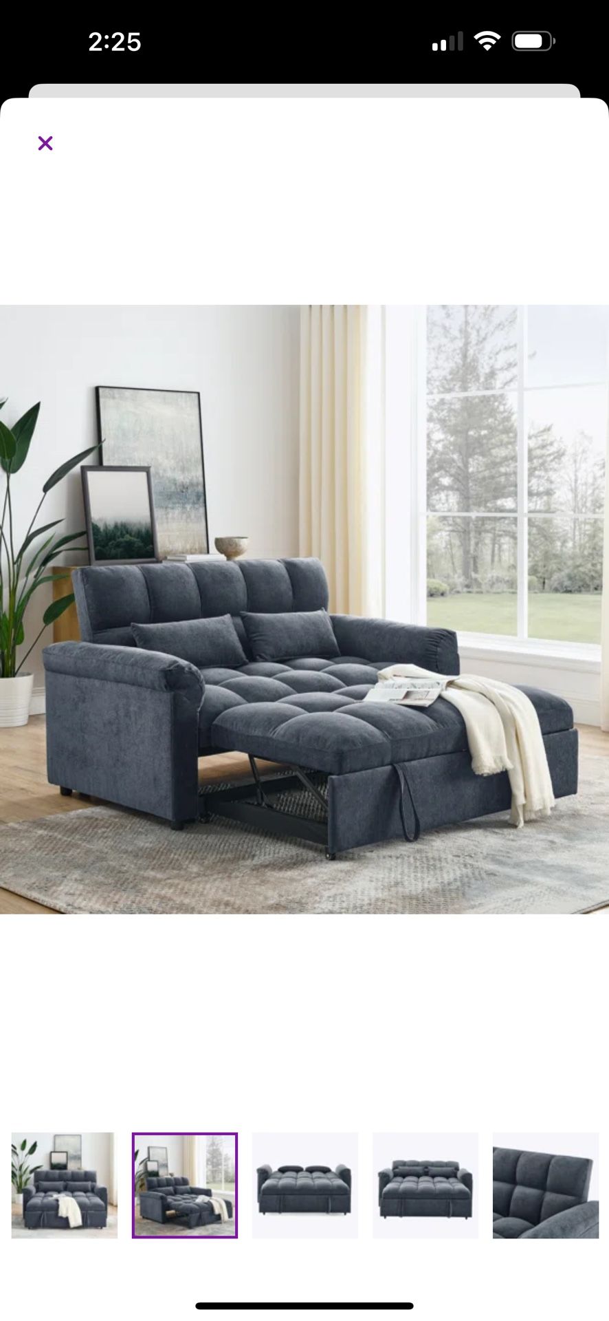 Sleeper Sofa Great for Guests