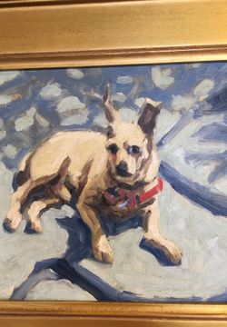 Pet portraits available