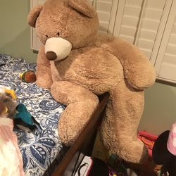 Bear 🐻