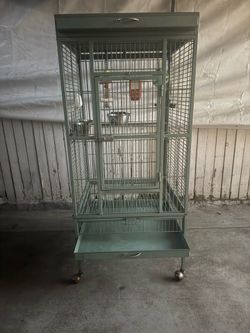 Bird Cage