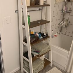 Shelving Ladder