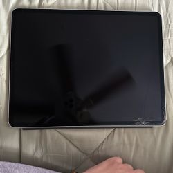 iPad Pro 