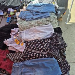Junior's Bundle 