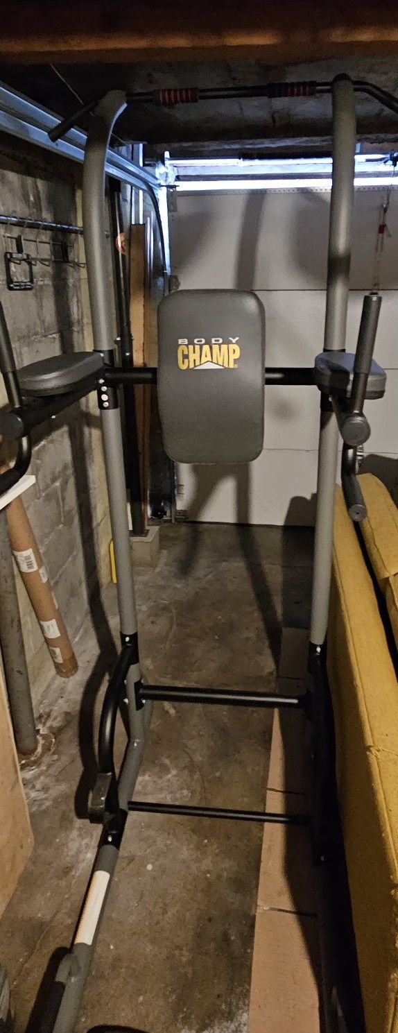 Pull Up Dip Station