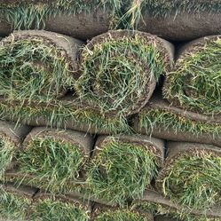 Fresh Sod 