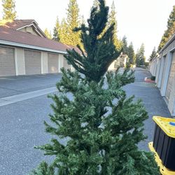6-foot Artificial Tree - Needs Floofing 