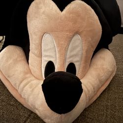 Tokyo Disney Hat