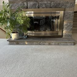Fireplace Doors