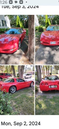 Corvette