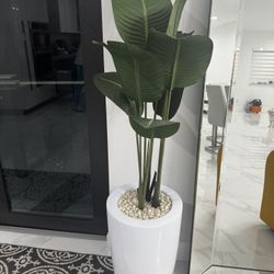 Modern Plant 
