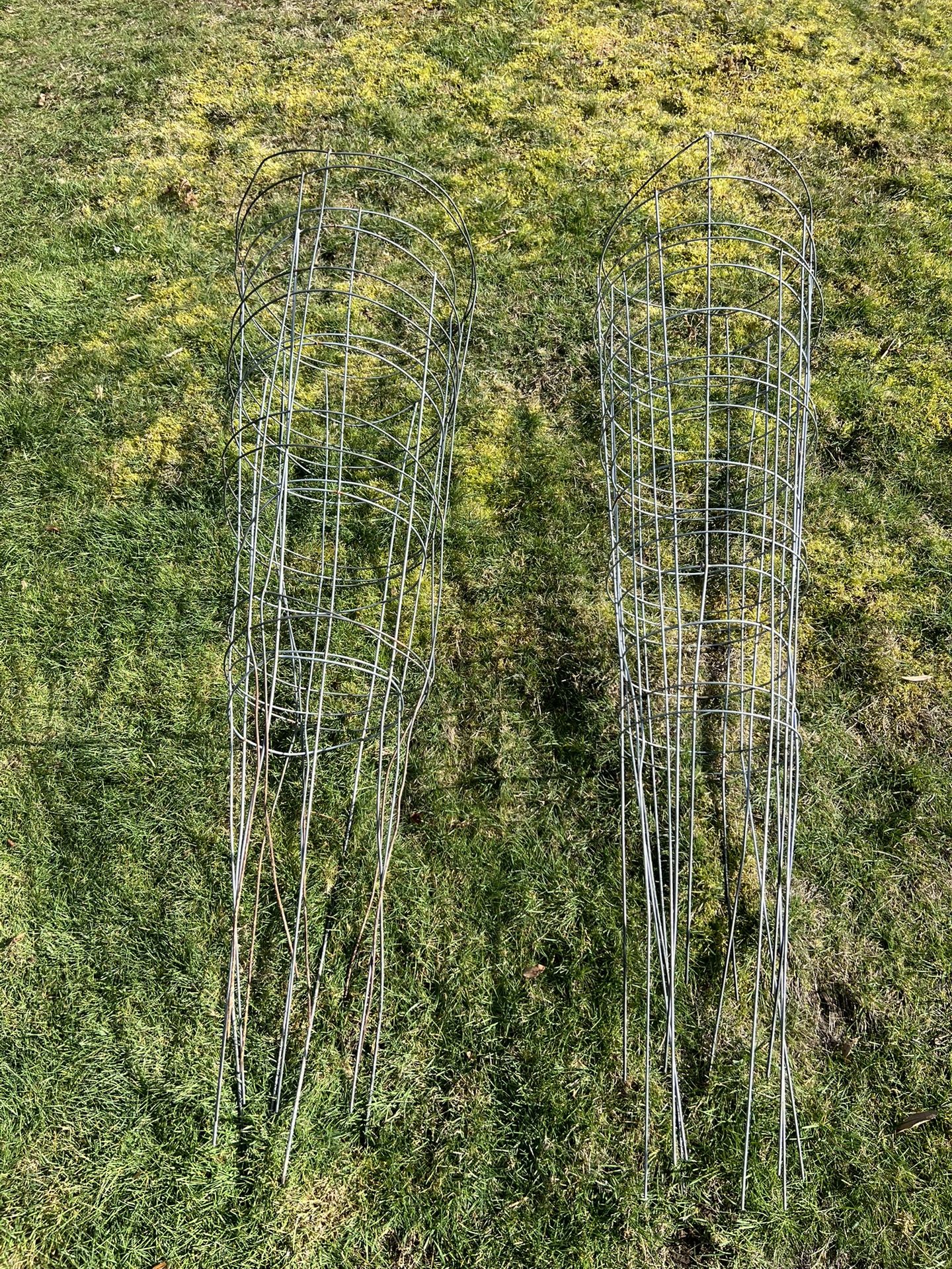 5ft Tomato Cages (9)