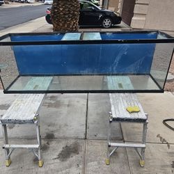 Fish Tank 