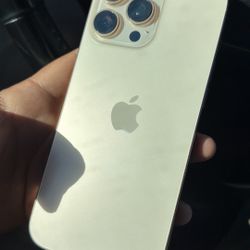 iPhone 16 Pro Max And 16 Plus