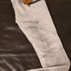 New With Tags Square Zero Biker Slim Moto Jeans