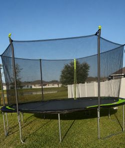 12 ft trample