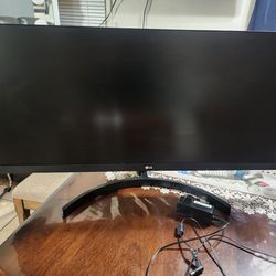 Lg 29in Monitor