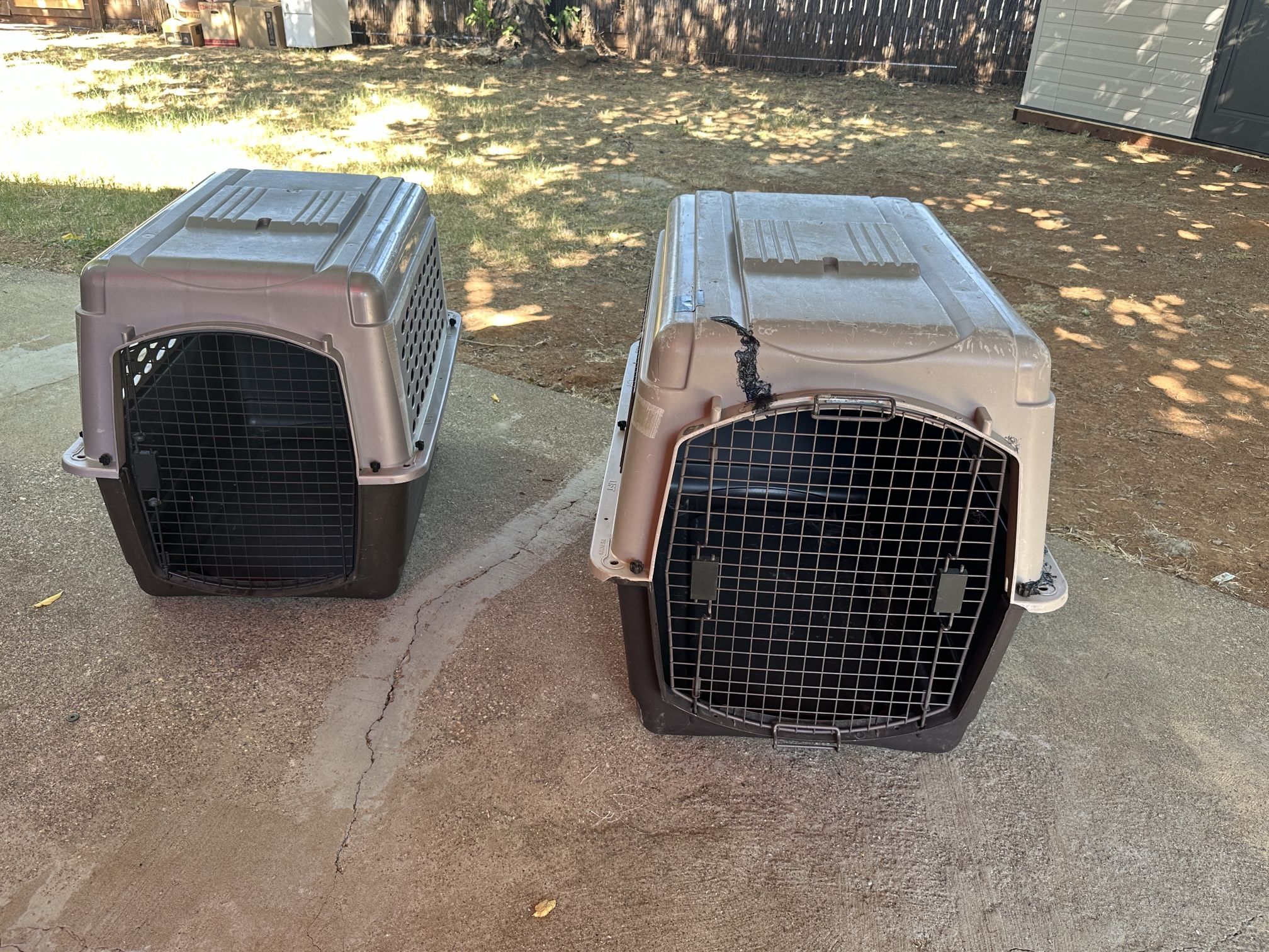 Dog Kennel