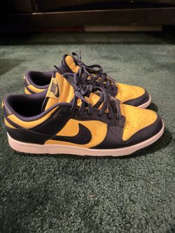 Nike Dunk Michigan 2021