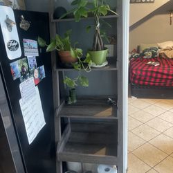 Shelve