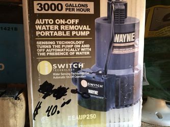 Portable pump