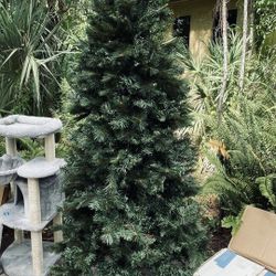 7.5” Christmas tree $80.00 CASH, NO LIGHTS TEXT FOR PRICES. 
