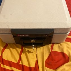 Sentry 1100 Safe