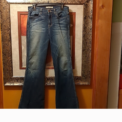 J Brand Blue Flare Wide Leg Jeans