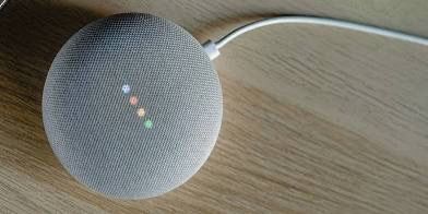 Google Net Mini