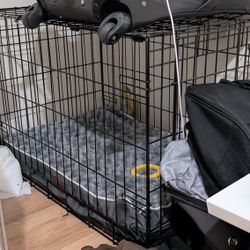Dog cage